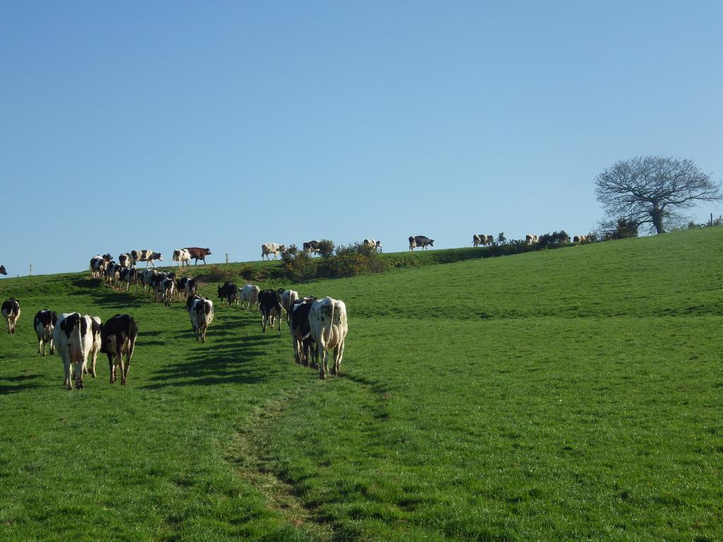 Ferme Clatot Hotel Les Trois Pierres ภายนอก รูปภาพ